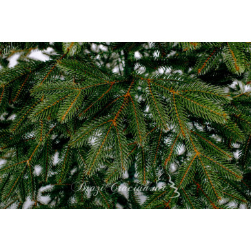 Umelý vianočný stromček Boreal Full 3D 210 cm