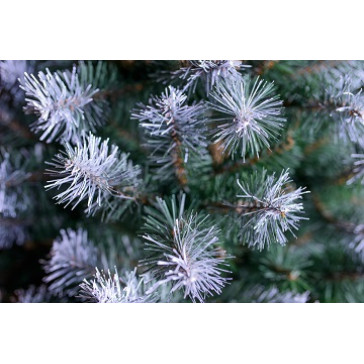 Umelý vianočný stromček Oregon 90 cm