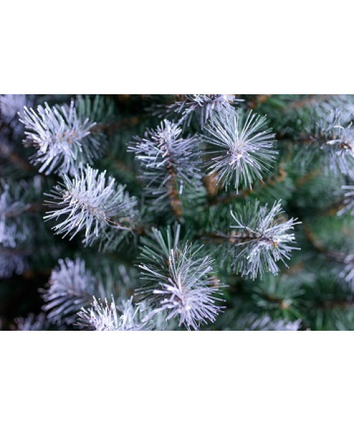 Umelý vianočný stromček Oregon 90 cm
