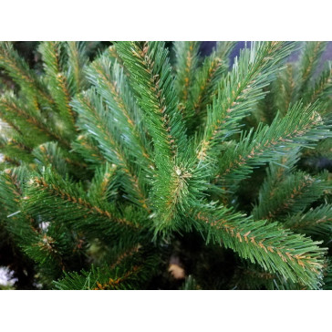 Umelý vianočný stromček Ruben 220 cm