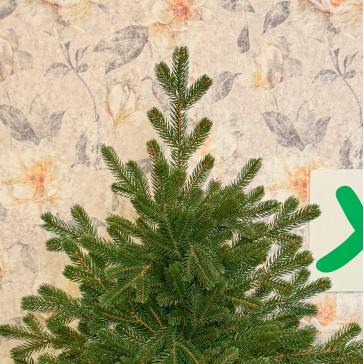 Umelý vianočný stromček Evergreen Premium Full 3D, 210 cm
