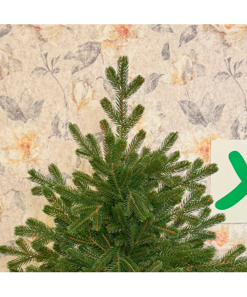 Umelý vianočný stromček Evergreen Premium Full 3D, 210 cm