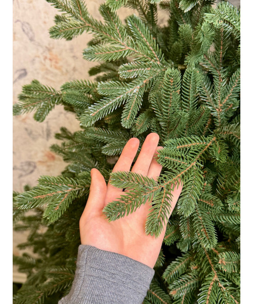 Umelý vianočný stromček Evergreen Premium Full 3D, 210 cm