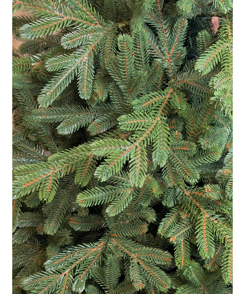 Umelý vianočný stromček Evergreen Premium Full 3D, 210 cm