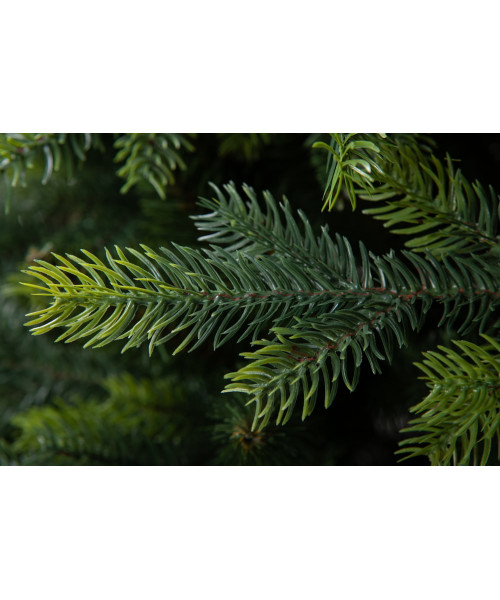 Umelý vianočný stromček Dakota 3D+2D - 220 cm