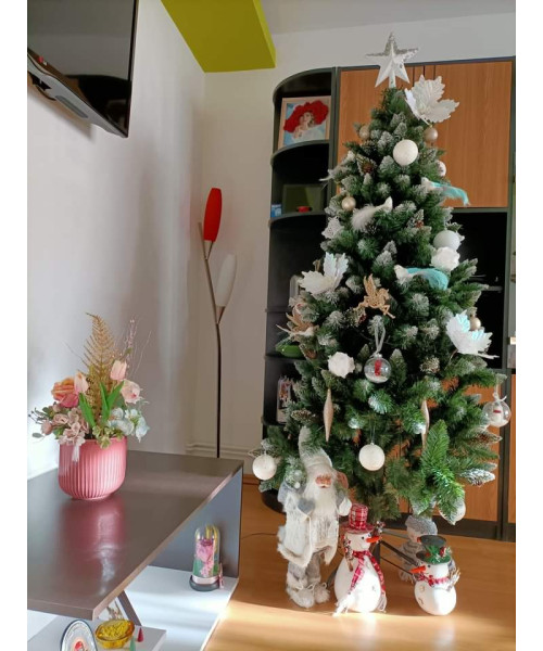 Umelý vianočný stromček Ottawa 120 cm